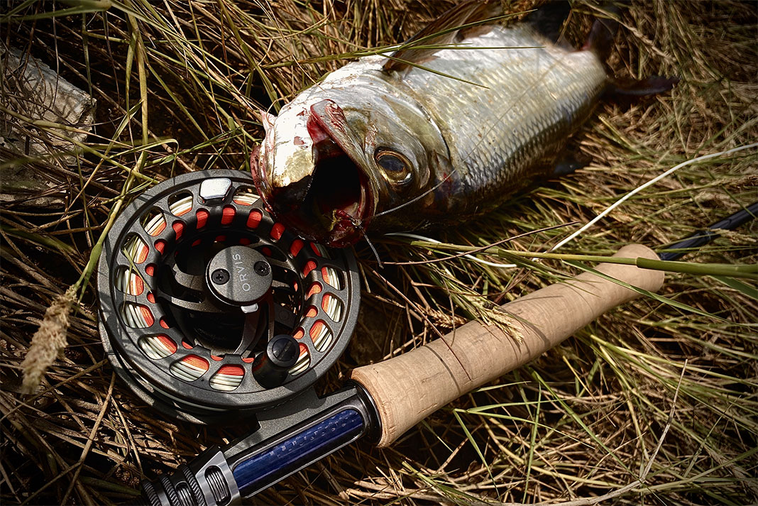 A Mississippi tarpon catch sits in straw beside fishing rod and reel