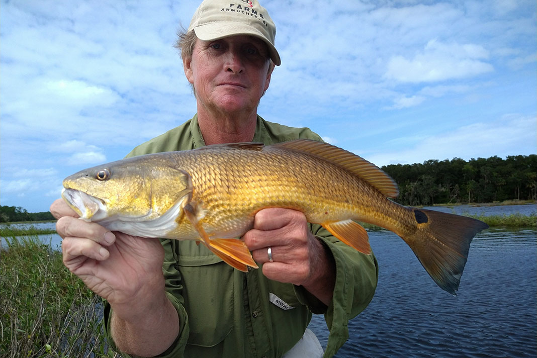 Redfish are a common catch. | Photo: Bart Swab