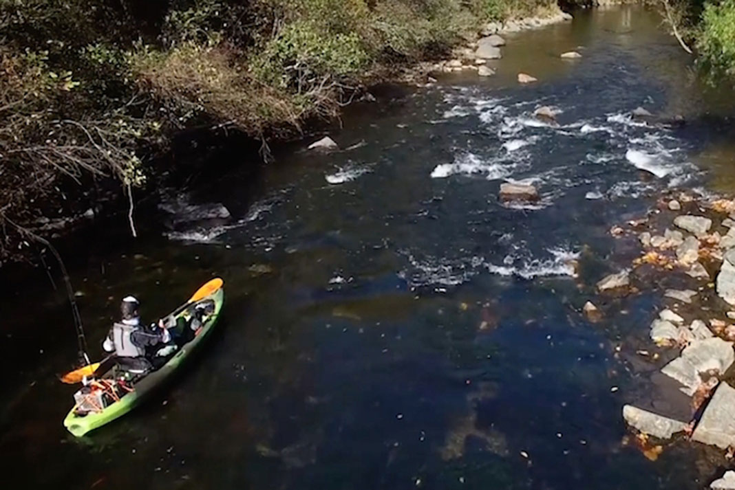 fishing on a creek in a Perception Pescador Pro 120 kayak