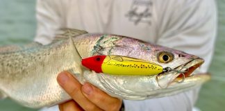 a fish caught from a kayak with a topwater lure