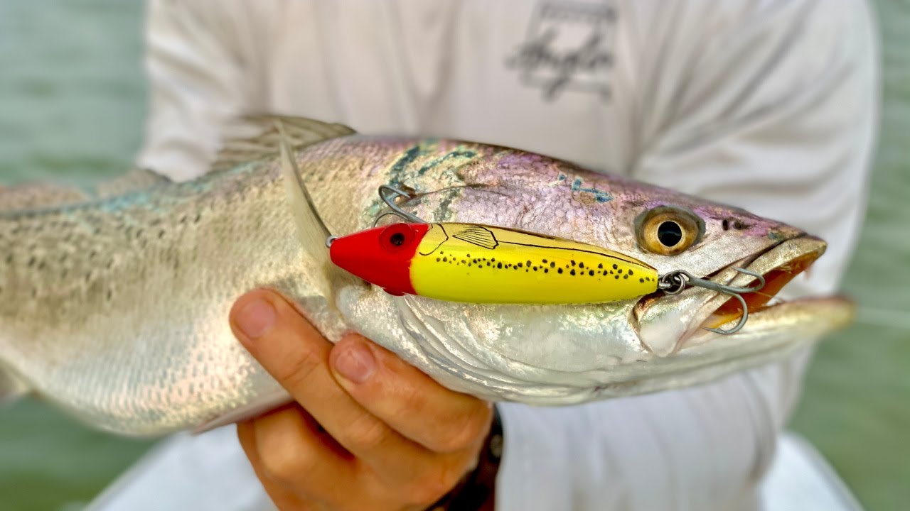 a fish caught from a kayak with a topwater lure