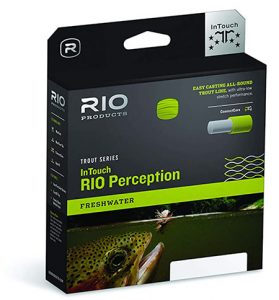 Rio InTouch Perception