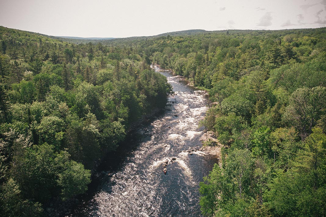 Overhead shot of river cutting through the forest, rapids visible