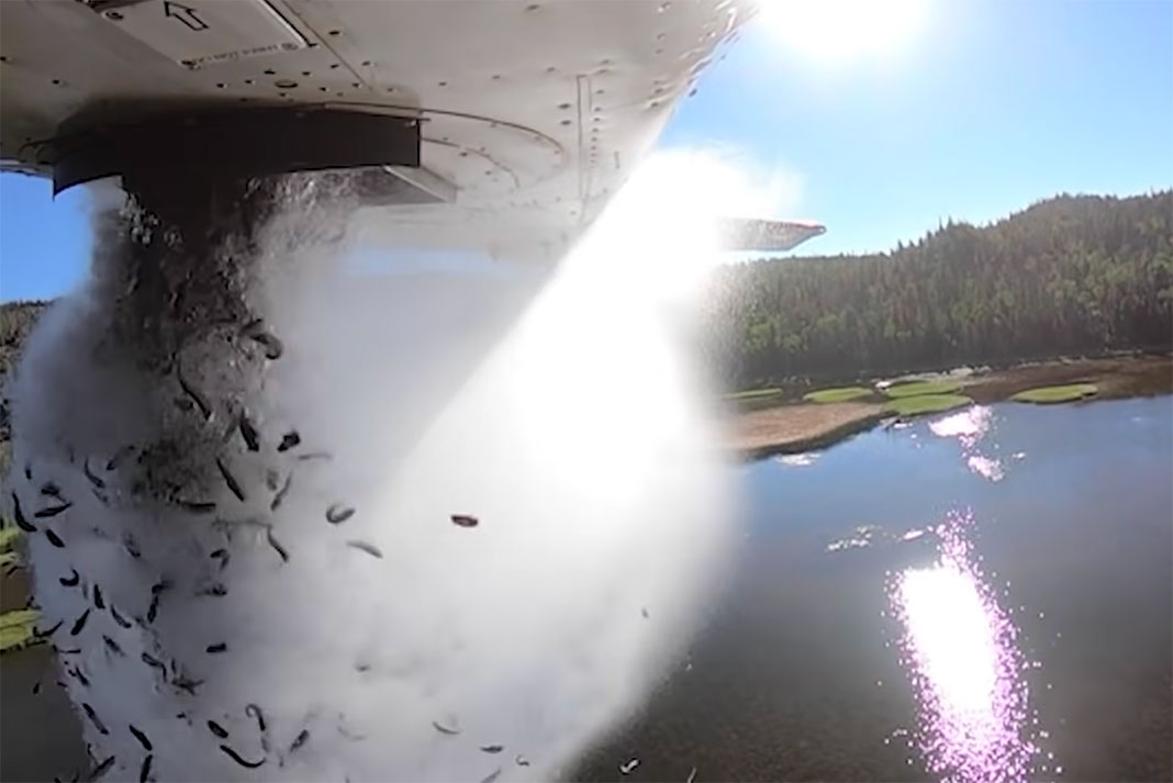 Utah Division of Wildlife Resources conducts aerial fish stocking at a remote lake