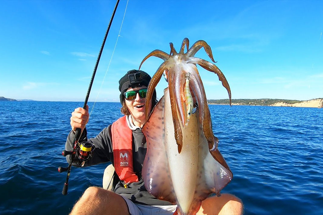 Angler Snags Giant Squid While Kayak Fishing (Video)