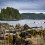 Why Adventure Travel Will Never Be The Same Again Group of sea kayakers on the water with rocky shore in foreground and tree-covered island in background.
