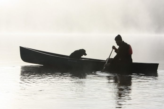 A man canoeing with his dog. | Photo: Flickr user Jason Nemec