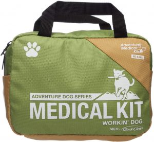 Green and yellow bag with words "Adventure Dog Series Medical Kit" on it.