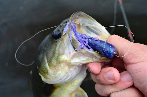 Fishing Skill: Learn How To Set A Hook Like A Pro