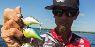 Mike Iaconelli holds up three different color fishing lures