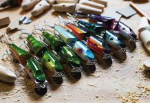 a selection of freshly painted wooden fishing lures sit on a table in front of unfinished lure components