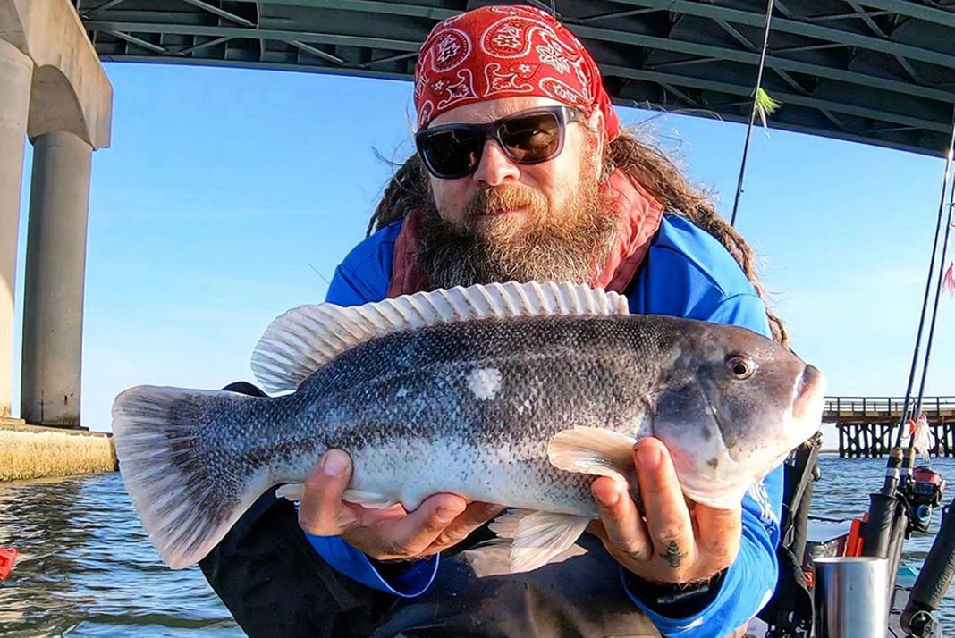 man holds up a blackfish he caught while fishing, also known as a tautog or tog