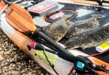 three flounder are laid out on a kayak after being caught on the Gulf Coast