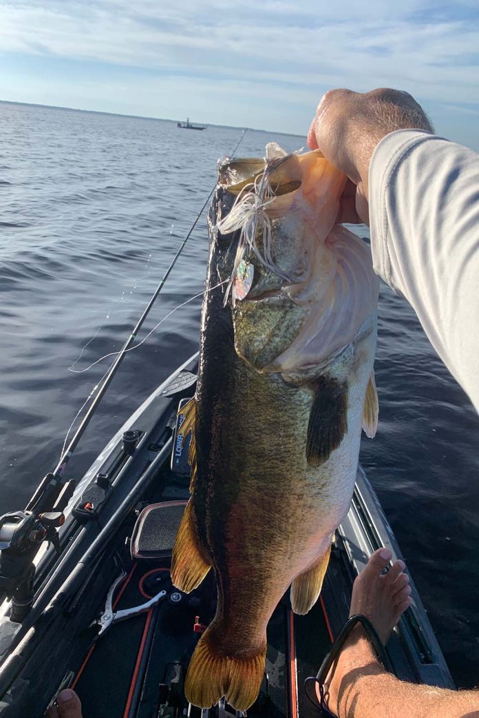 Best Bass Fishing Baits And Lures Bladed Jigs Kayak Angler