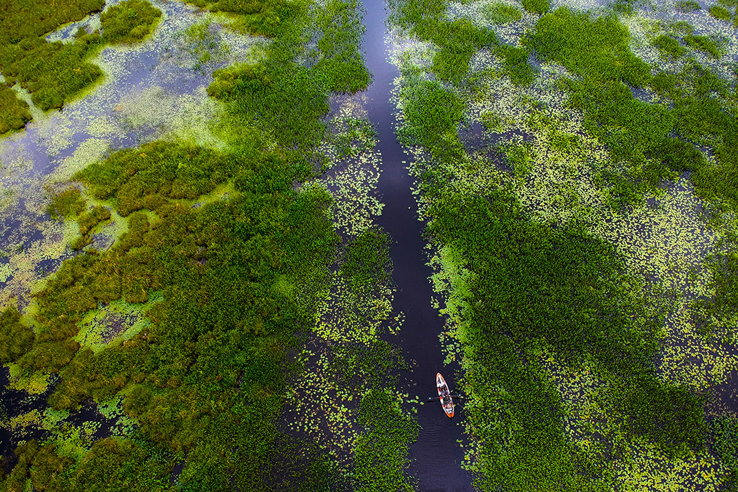 a kayaker paddles through a large number of water plants