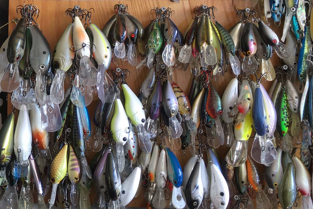 a selection of crankbait lures for bass fishing