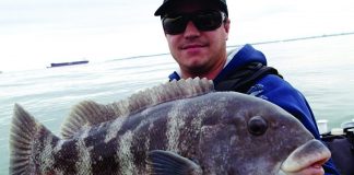 angler holds up tog caught while winter kayak fishing