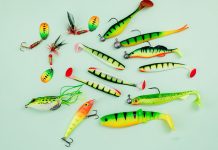 a selection of bass fishing lures