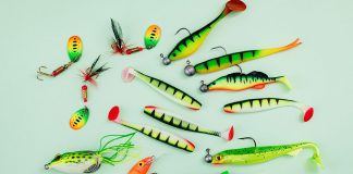 a selection of bass fishing lures
