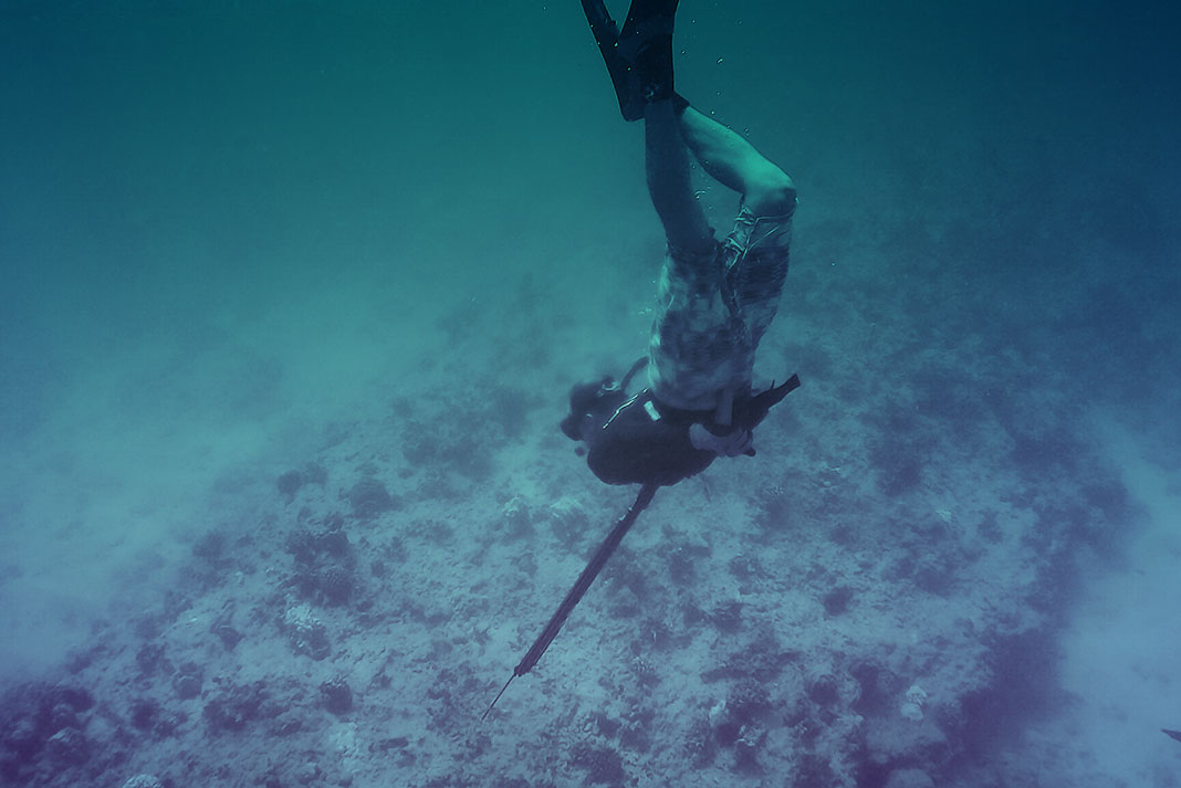 Rigging Spearfishing Archives - Spearfishing World