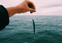 person holds up an artificial bait tied to a fishing line