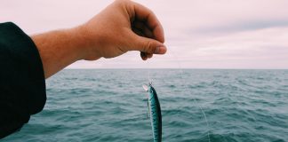 person holds up an artificial bait tied to a fishing line