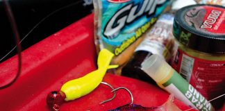 fishing lures with fish attractants applied to them