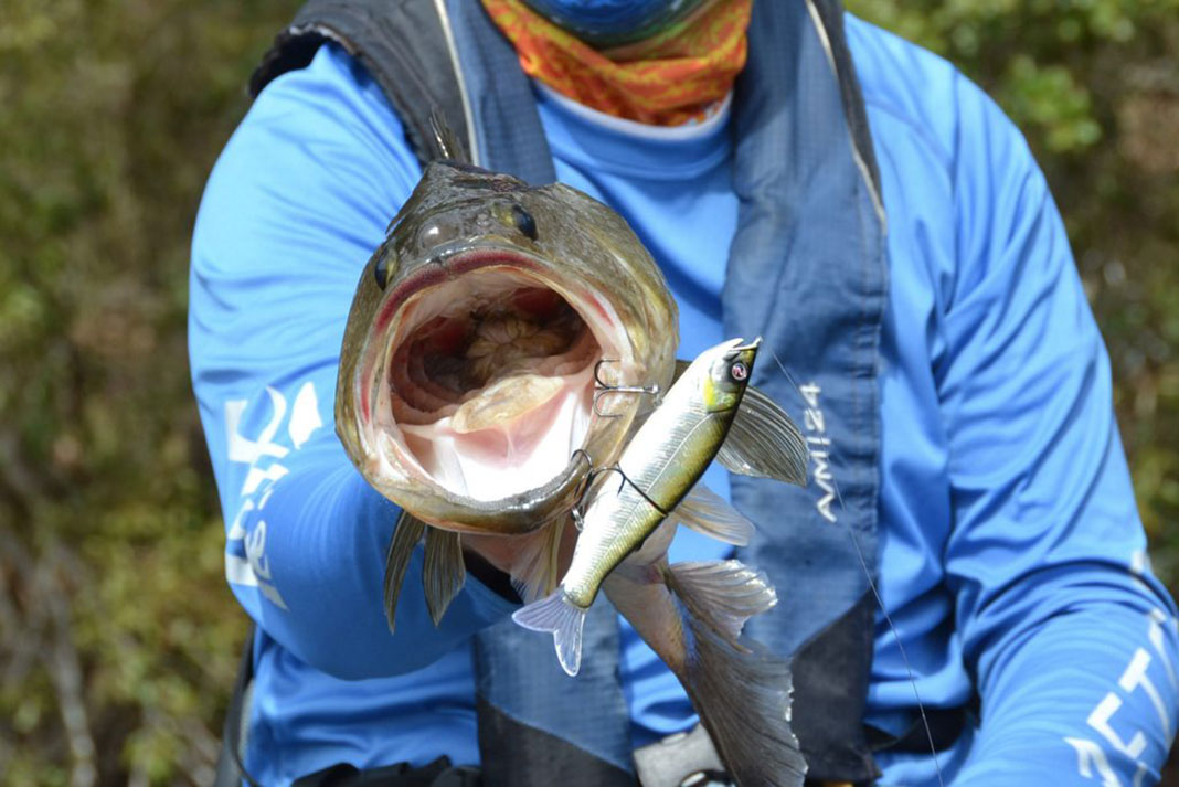 man holds up a big bass taken with a larger fishing lure