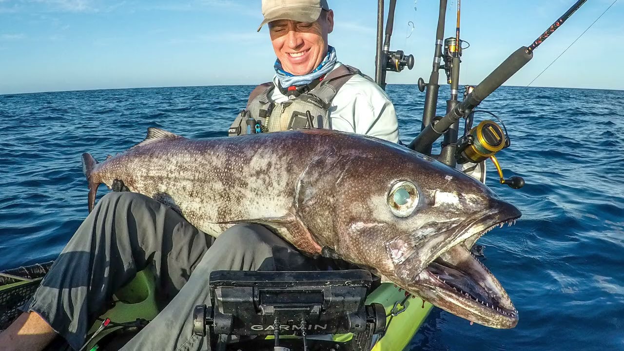 Mystery Catch Turns Out To Be “Diarrhea Fish” (Video) Kayak Angler