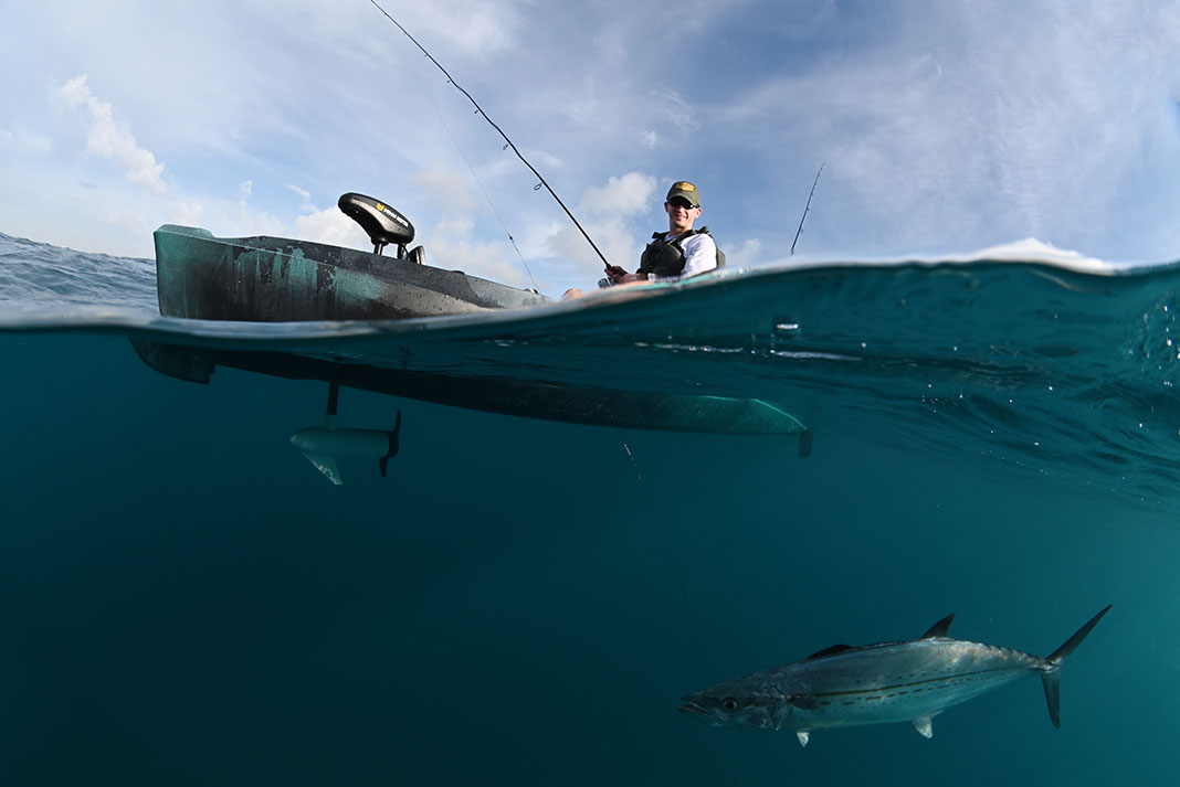 an angler catches a fish from a kayak equipped with a trolling motor