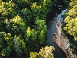 overhead view of a river in Alabama with a canoe