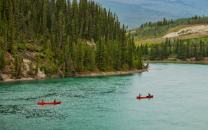 guided canoe trip