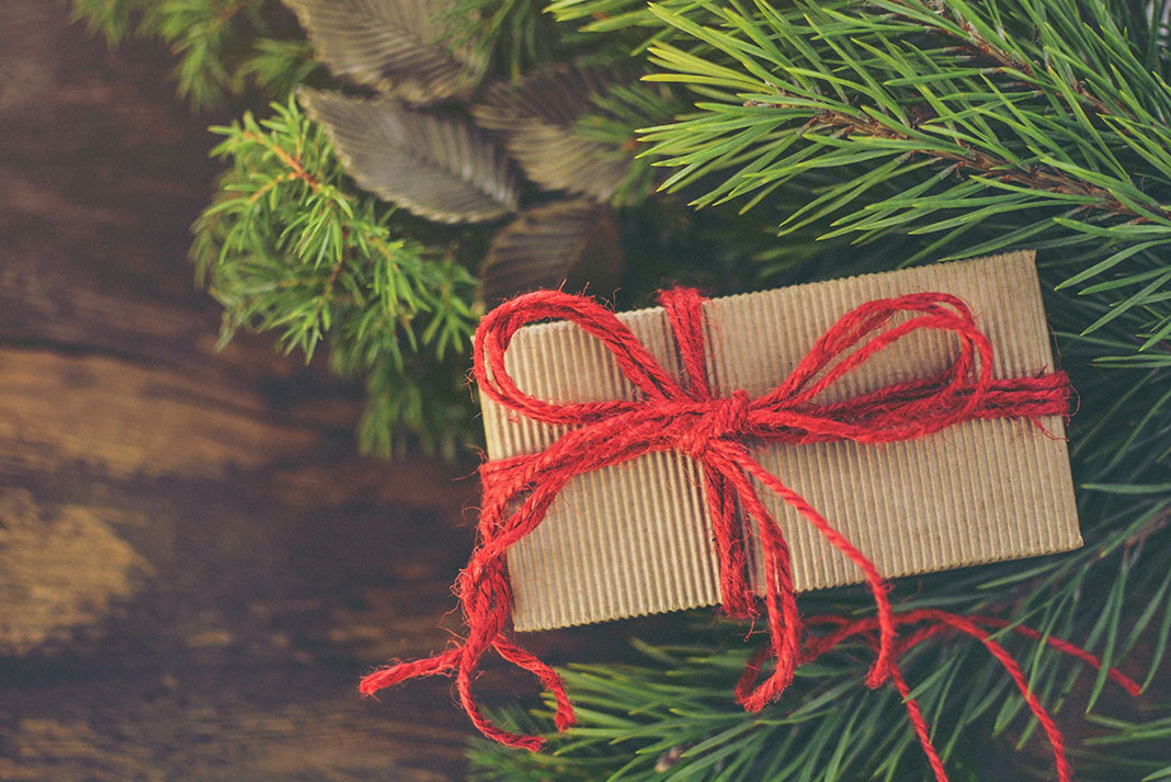 a wrapped gift with a red string bow sits under a Christmas tree