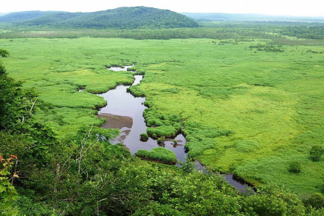 River surrounded by greenery and hill in background.
