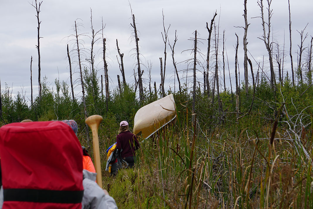 people portage an ultralight canoe through dead trees