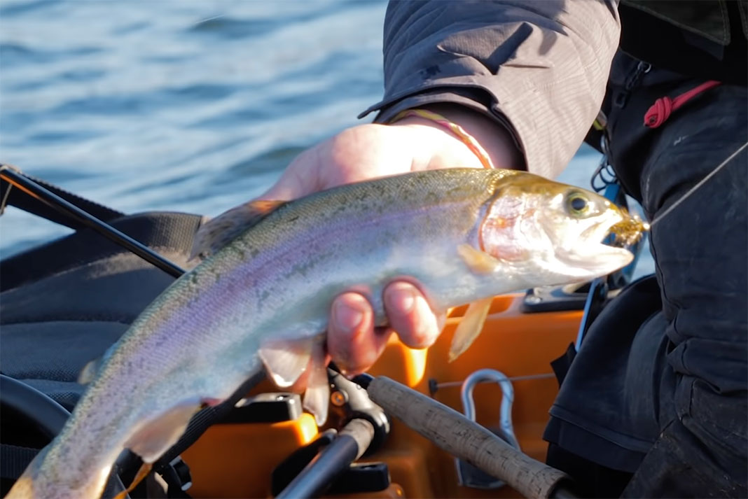 man holds rainbow trout caught fly fishing in windy winter weather