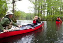 Two canoes being paddled along river