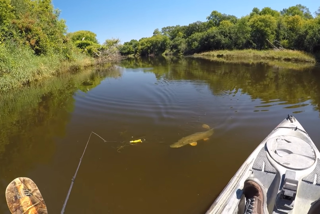 Pike prowling duck lure