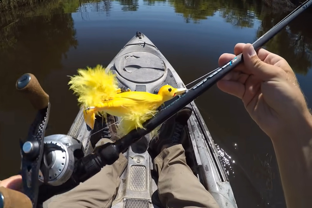 Tried to get my lure back. Bass had swallowed a baby duck. (X-postpics) :  r/WTF