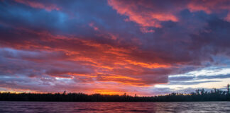 colorful sunset over a treed lake in Boundary Waters
