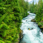 Everything You Need To Know About Buying A Creek Boat creek boater paddles down a narrow whitewater river surrounded by vibrant green trees