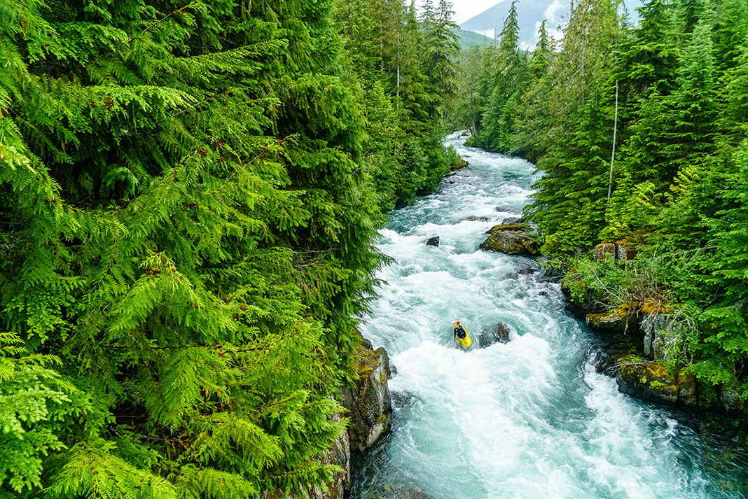 creek boater paddles down a narrow whitewater river surrounded by vibrant green trees