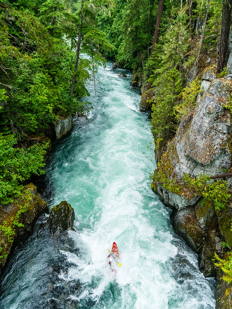 creek boater paddles down a narrow whitewater river surrounded by vibrant green trees