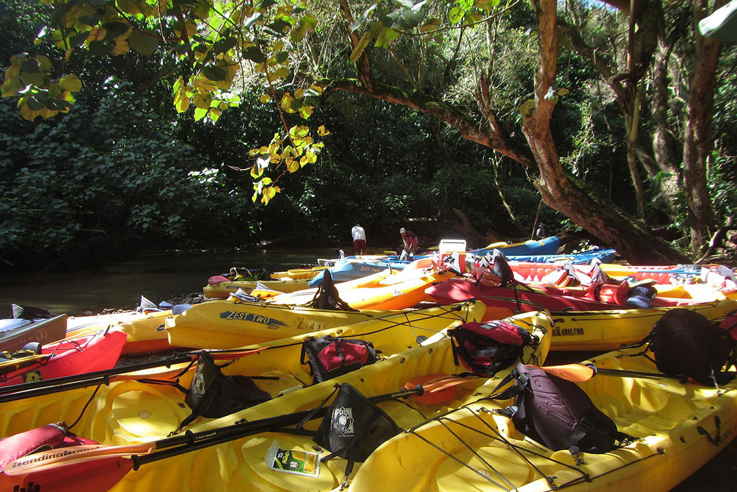a group of kayaks parked on the Wailua River in Hawaii while on a tour