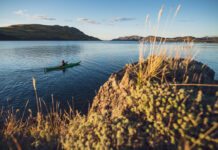kayaker paddles past a grassy knoll