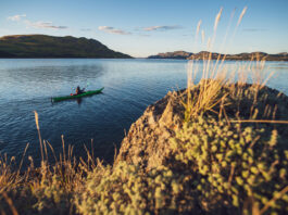 kayaker paddles past a grassy knoll