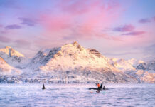 kayakers paddle near orcas at dawn in front of a snowy mountain landscape