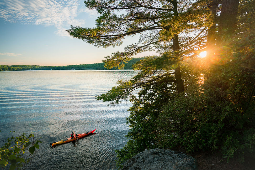 touring kayaker paddles past a pine tree silhouetted by the sun on a calm lake