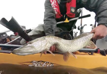 Pike shown from Hobie Kayak