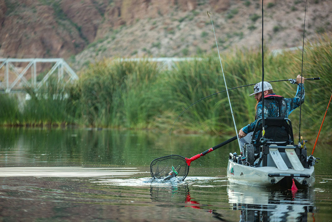 kayak angler nets his catch while fishing in Arizona